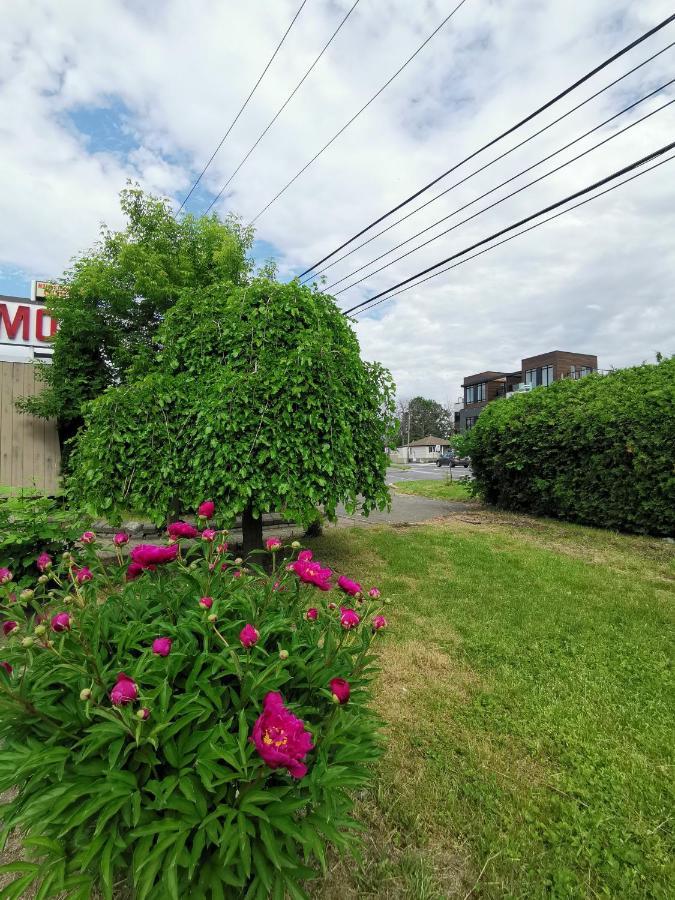Motel Sainte Catherine Экстерьер фото